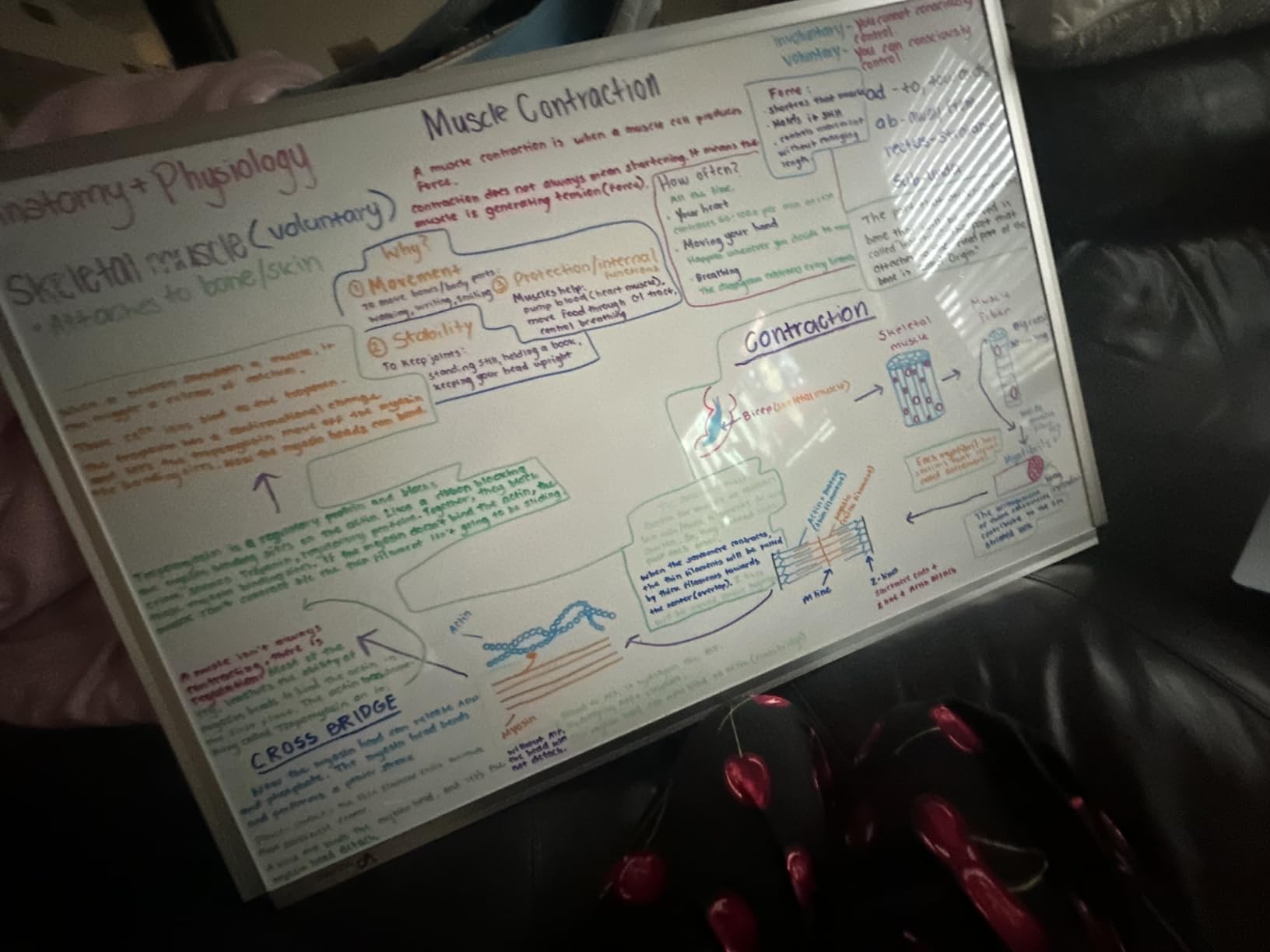VIZ-PRO Magnetic Whiteboard/Dry Erase Board, 48 X 36 Inches, Silver Aluminium Frame customer photo 1