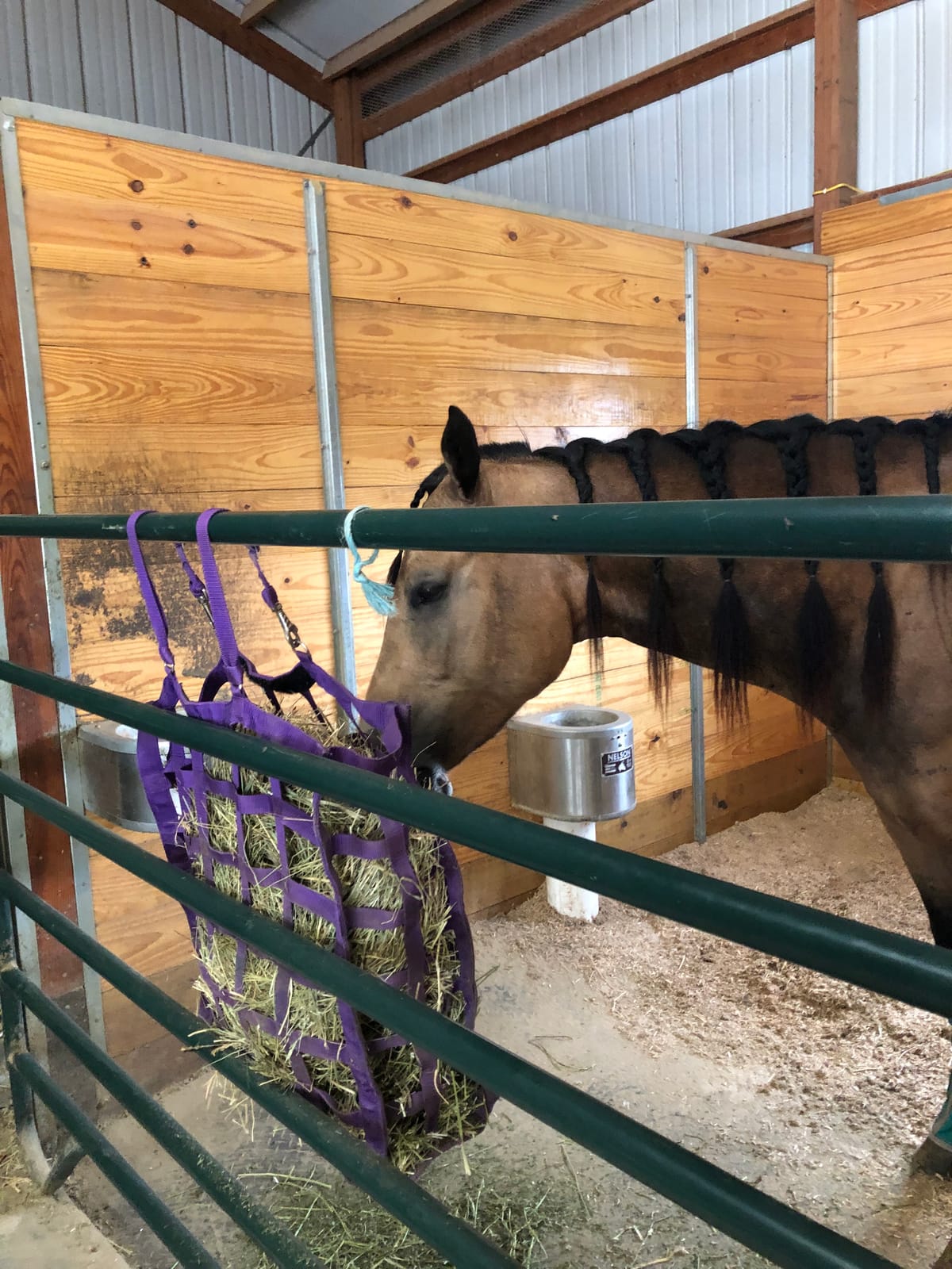 Derby Originals Easy Feeder Horse Hay Bag with Super Tough Bottom and 1 Year Warranty customer photo 1