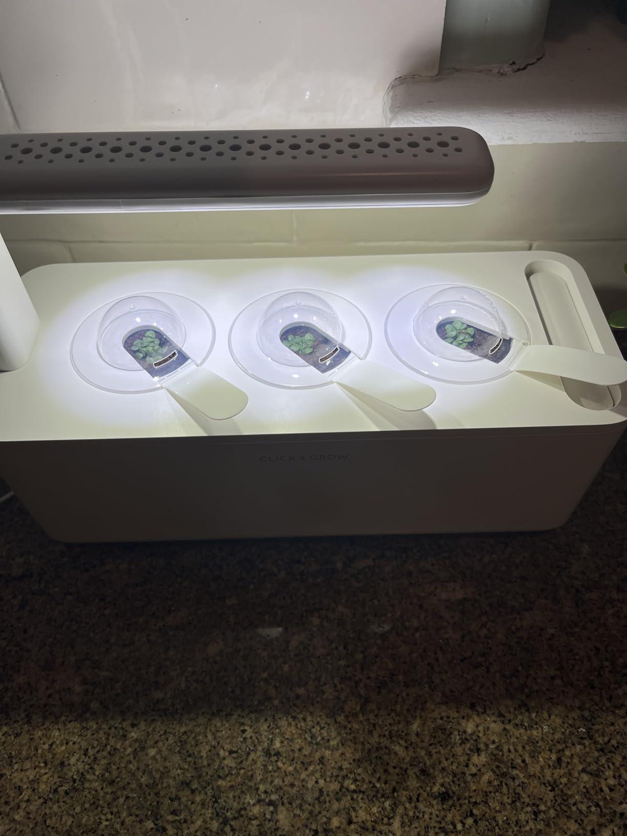 Click & Grow Indoor Herb Garden Kit with Grow Light | Smart Garden for Home Kitchen Windowsill | Easier Than Hydroponics Growing System | Vegetable Gardening Starter (3 Basil Pods Included), White customer photo 1