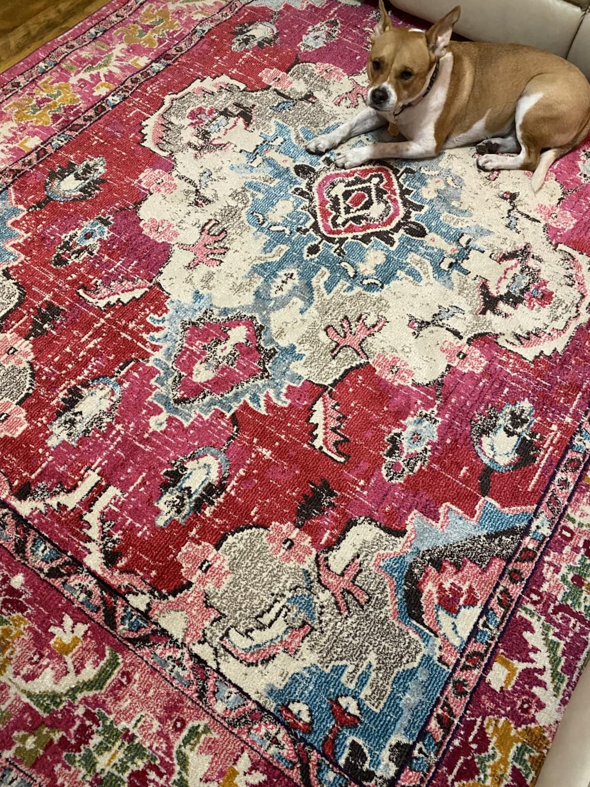SAFAVIEH Monaco Collection Area Rug - 8' x 10', Navy & Light Blue, Non-Shedding & Easy to Clean, Distressed Medallion Design, Ideal for Living Room, Bedroom, Dining Space (MNC243N) customer photo 2