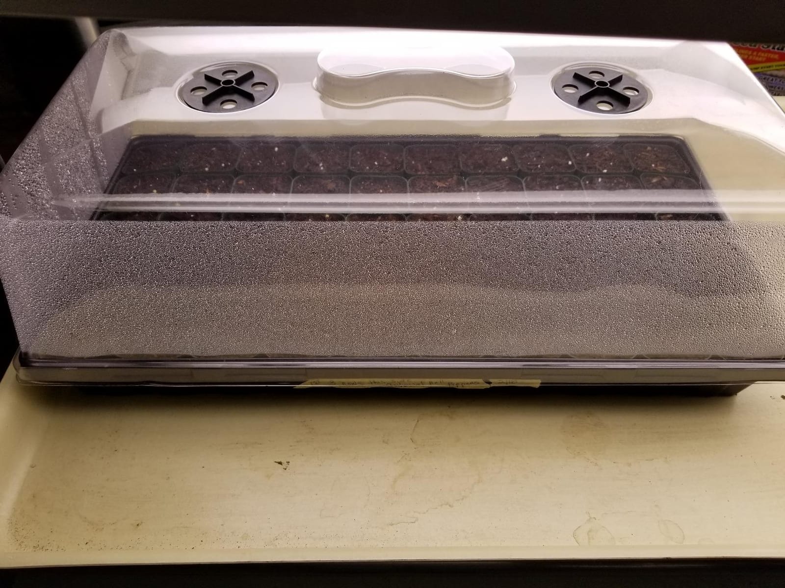 Bootstrap Farmer 1020 Trays w/Humidity Dome Extra Strength, 5 Pack, for Seed Starting Plant Propagation Germination Tray No Holes Fodder System Starter customer photo 2