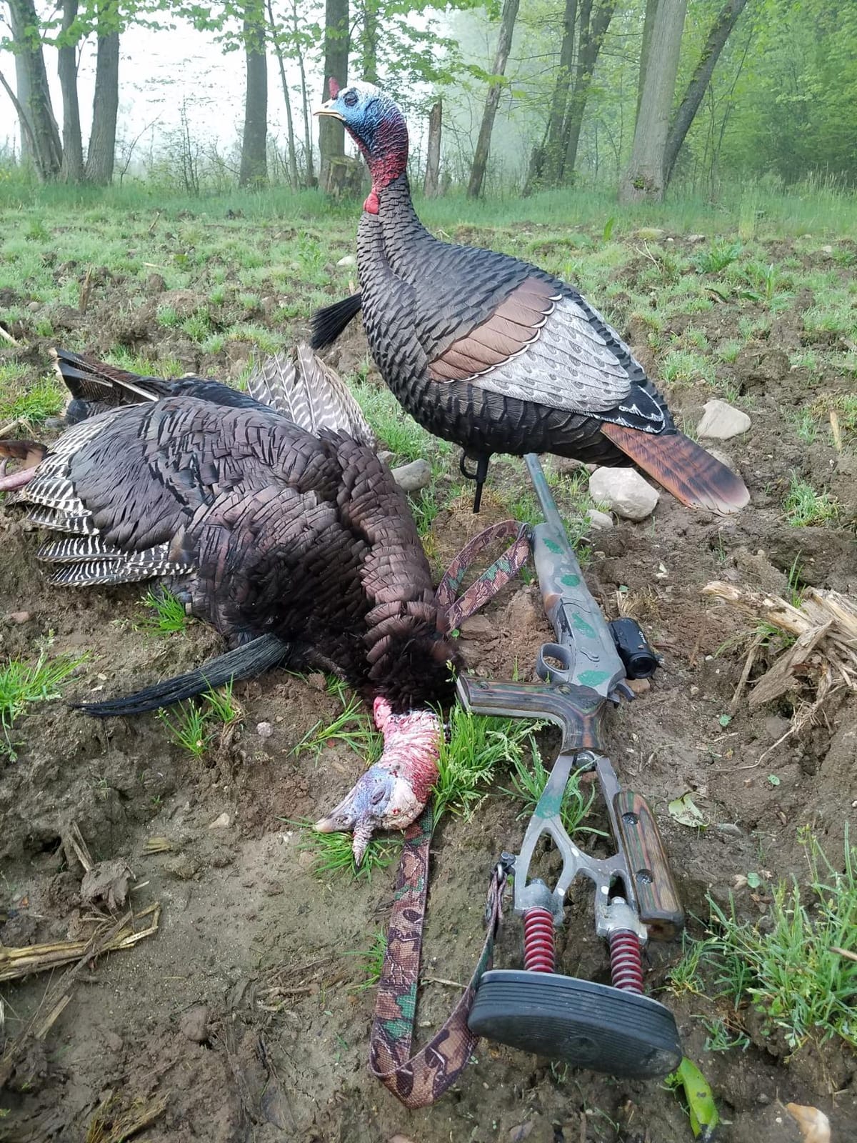 Flextone Hunting Lightweight Ultra Realistic Lifelike Plastic Outdoor Thunder Jake Turkey Decoy - Brown customer photo 1