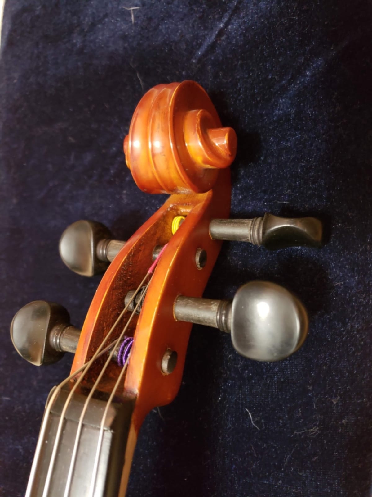 D Z Strad viola Model 101 with Strings, Case, Bow, Shoulder Rest, and Rosin (16