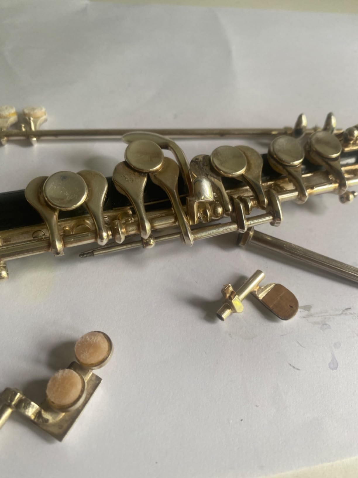 Paititi Professional Centertone Composite Wood Piccolo Flute Silver Plated Head Joint Ebonite Composite Wood Body with Case customer photo 1
