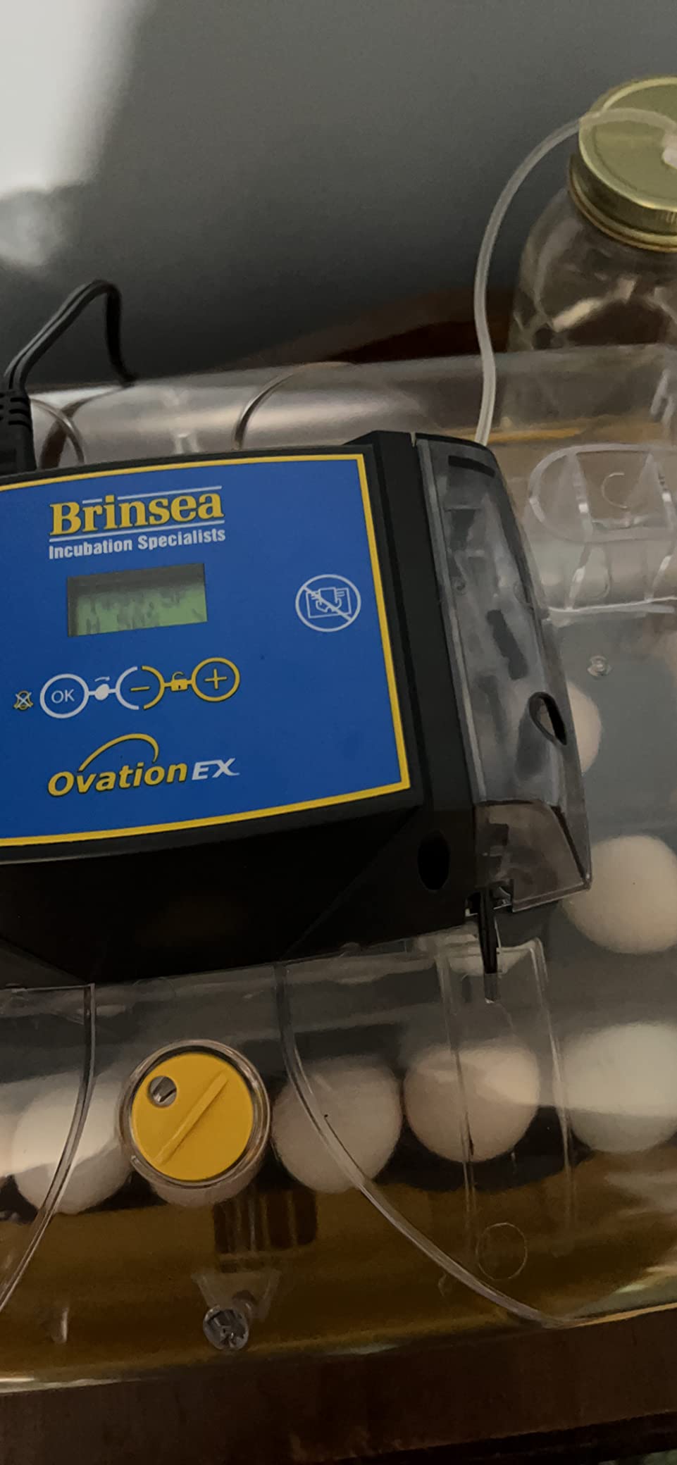 Brinsea Ovation 28 EX Egg Incubator, Automatic Turning & Humidity Control, Built-in automatic humidity, auto-turn & temp alarms customer photo 1