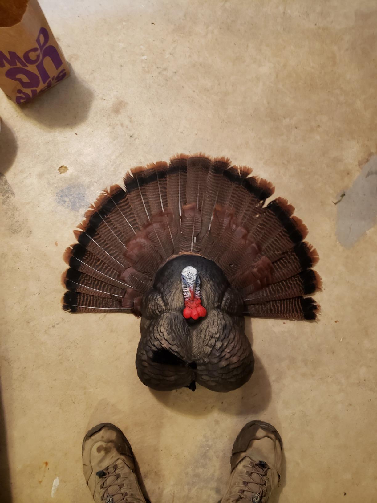 Flextone Hunting Lightweight Ultra Realistic Lifelike Plastic Outdoor Thunder Creeper Gobbler Turkey Decoy customer photo 2