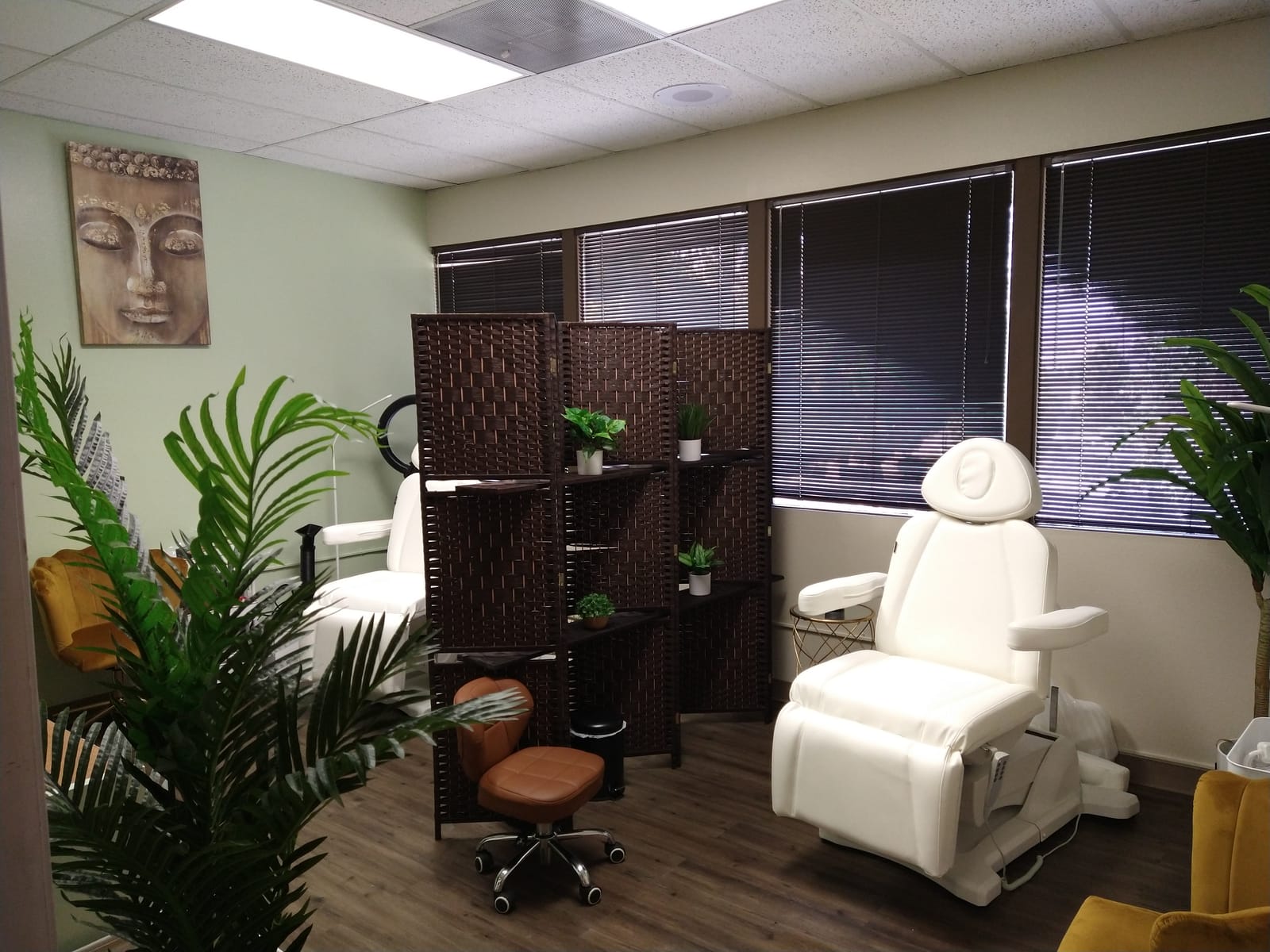 Dir Medical Spa Chair Facial Beauty Dental Podiatry Doctors Examination Chair PAVO customer photo 1