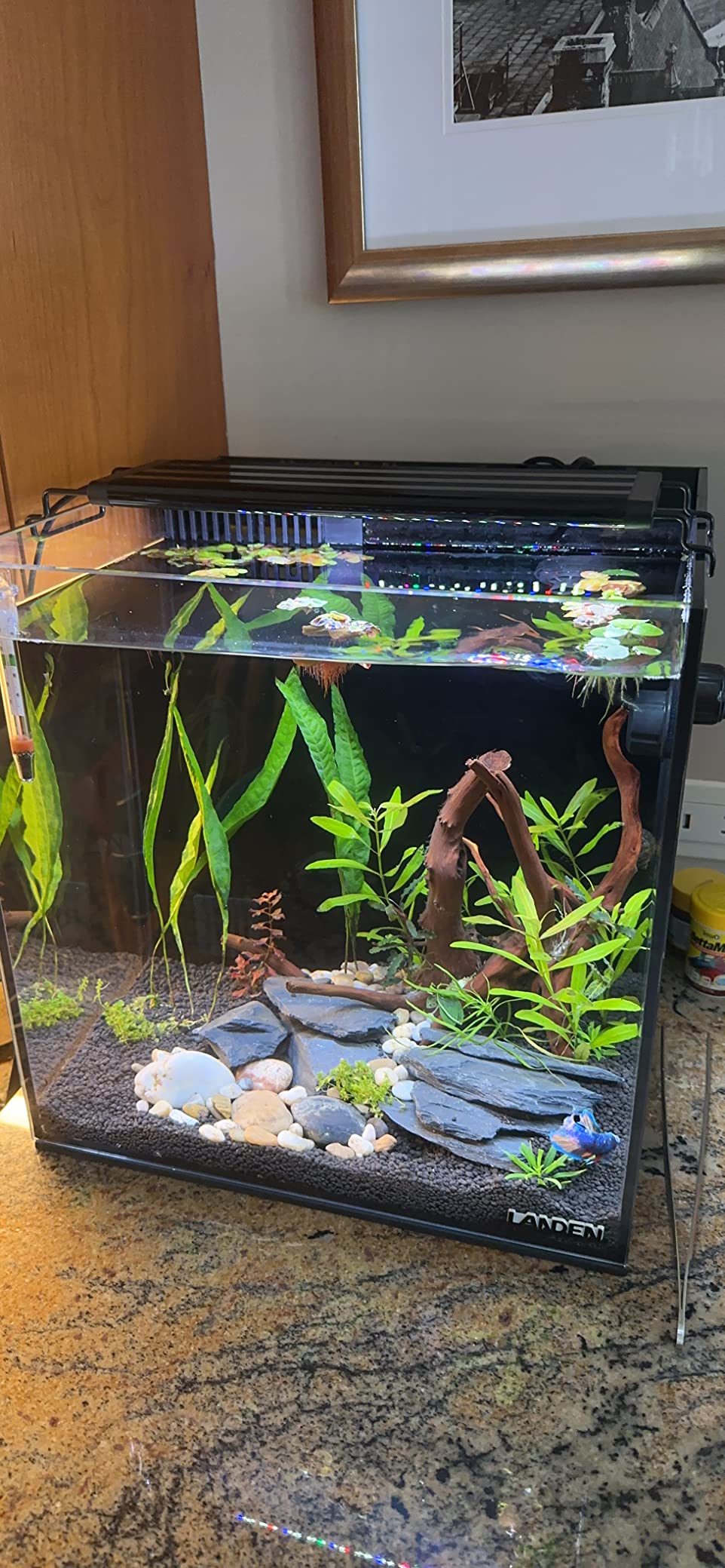 LANDEN EzFlux 40 Rimless 16 Gallon Rear Filtration Tank, Pump Included | 15.7x15.7x15.7in (40x40x40cm), 6mm low iron glass; BIOSMO 700 pump 185GPH; freshwater or marine, planted reef customer photo 1