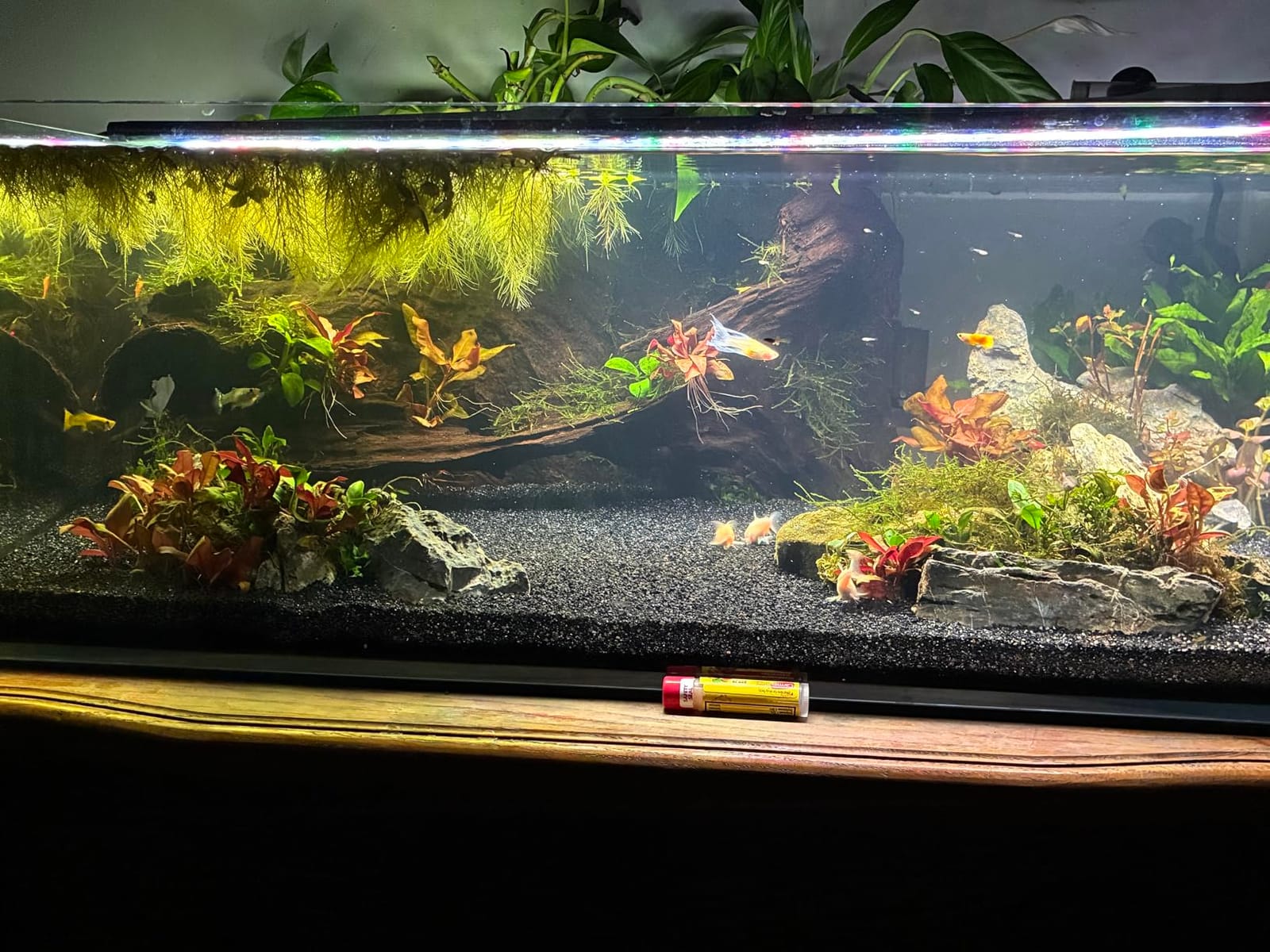 LANDEN 90P 55 Gallon Rimless Low Iron Aquarium Tank, W35.4×D19.7×H19.7 in(90x50x50cm) 10mm Thickness with Black Nano Foam Leveling mat Included customer photo 1