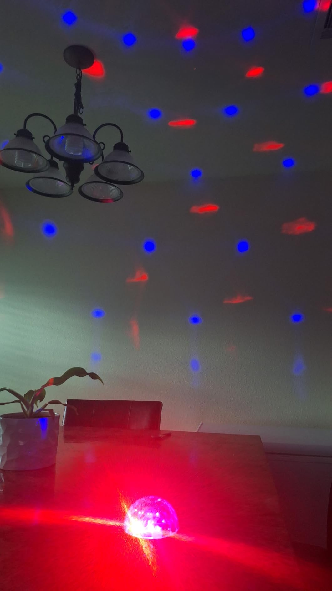 Luditek Sound Activated Party Lights with Remote DJ Lighting, Disco Ball Strobe Stage Light for Home Room Dance Parties customer photo 2