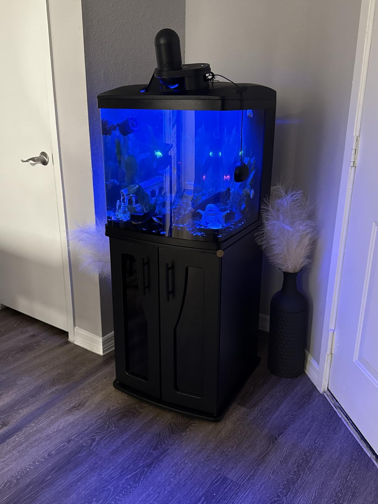 Coralife BioCube Aquarium Kit, Integrated 24-hour Timer, Customizable LED Lighting, for Saltwater and Freshwater Environments, 32 Gallon customer photo 2
