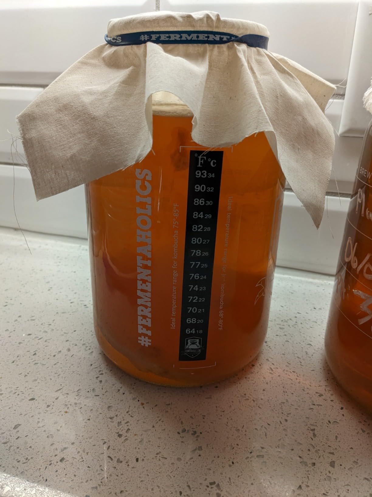Fermentaholics Kombucha Brewing Starter Kit - USDA Certified Organic SCOBY & Tea, Complete Home Kombucha Making Kit with Culture, Kosher Certified customer photo 2
