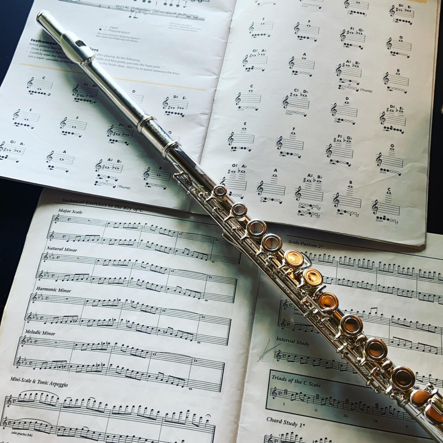 Mendini by Cecilio 16 Keys Closed Hole C Flute Kit for Beginners - Nickel customer photo 1