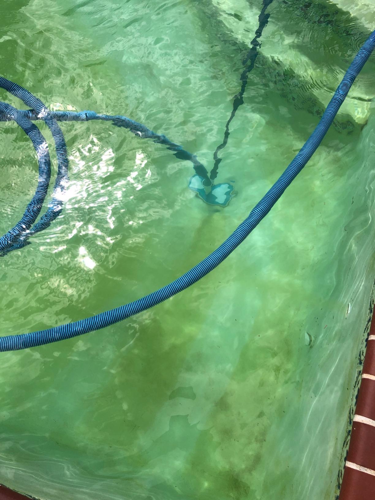 U.S. Pool Supply 11