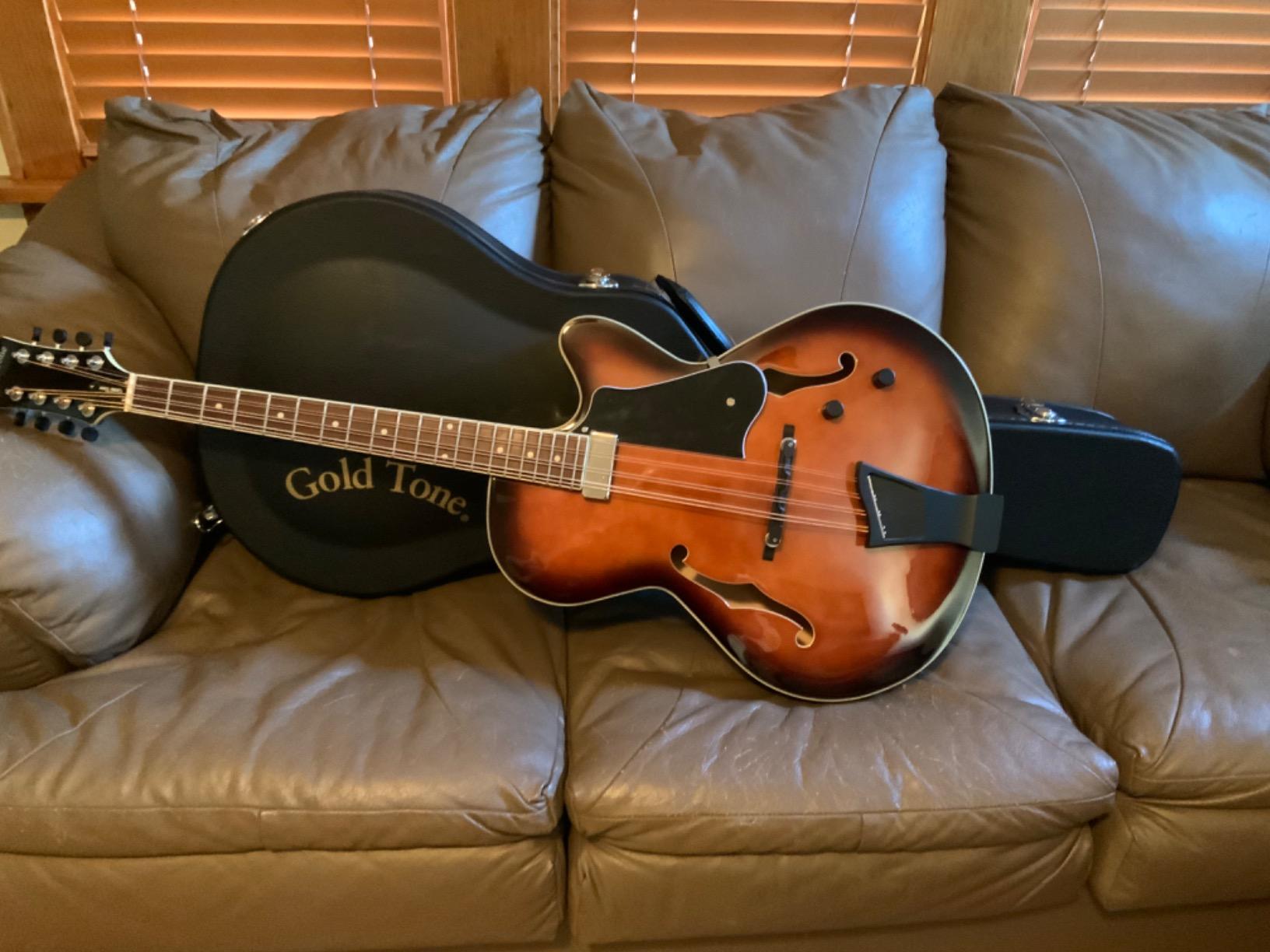 Gold Tone Mandocello: Mandocello with Pickup and Case customer photo 1