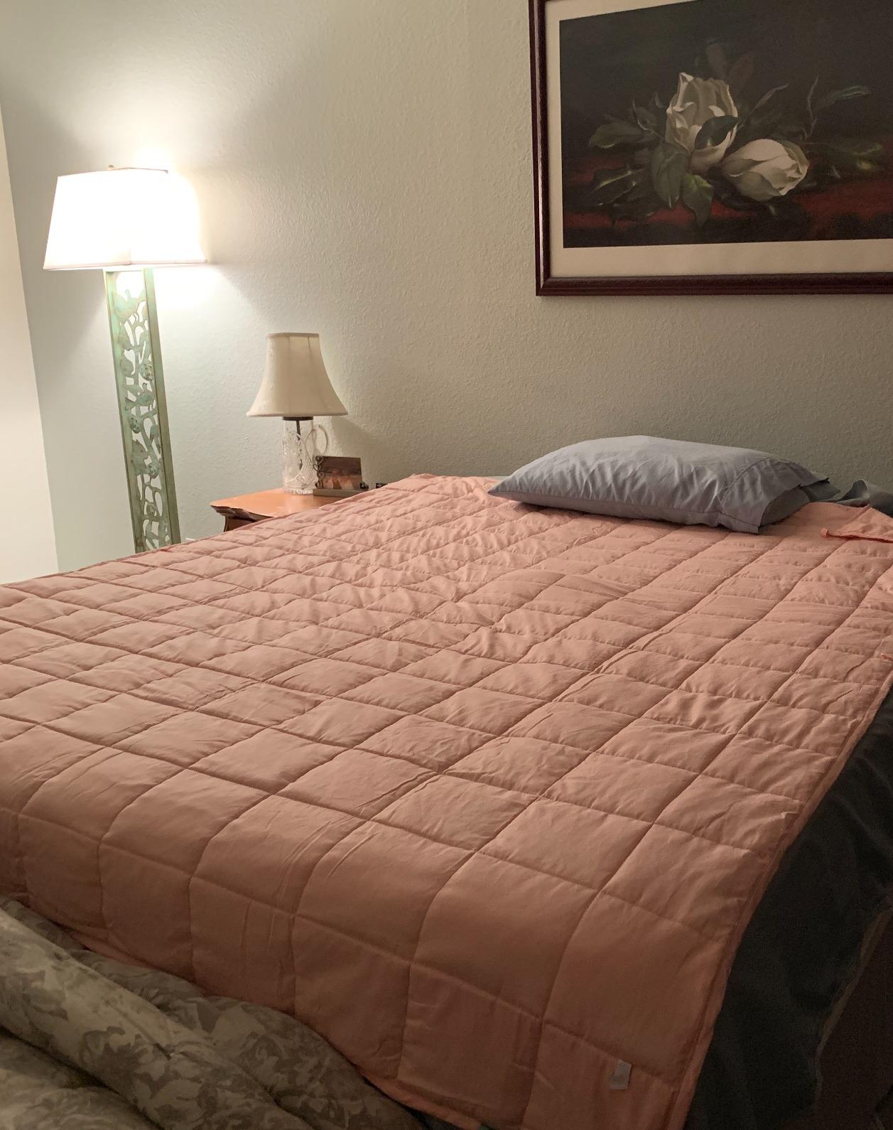 Weighted Idea Weighted Blanket for Adults (Dark Grey, 48x72, 15lbs) Cooling Breathable Heavy Blanket with Premium Glass Beads All-Season Soft Thick Blanket customer photo 1