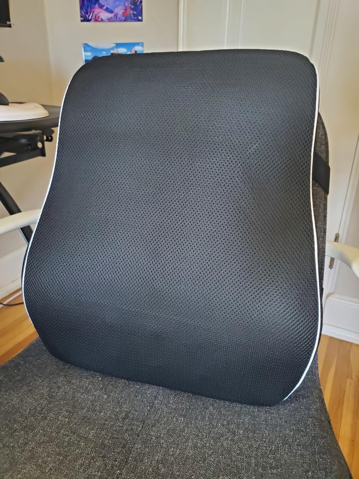 Lumbar Support Pillow for Office Chair, Mothers Day Gifts for Mom, Back Support Pillow for Car, Office Supplies, Chair Cushions, Back Pain Relief Improve Posture, Mesh Cover Double Adjustable Straps customer photo 2