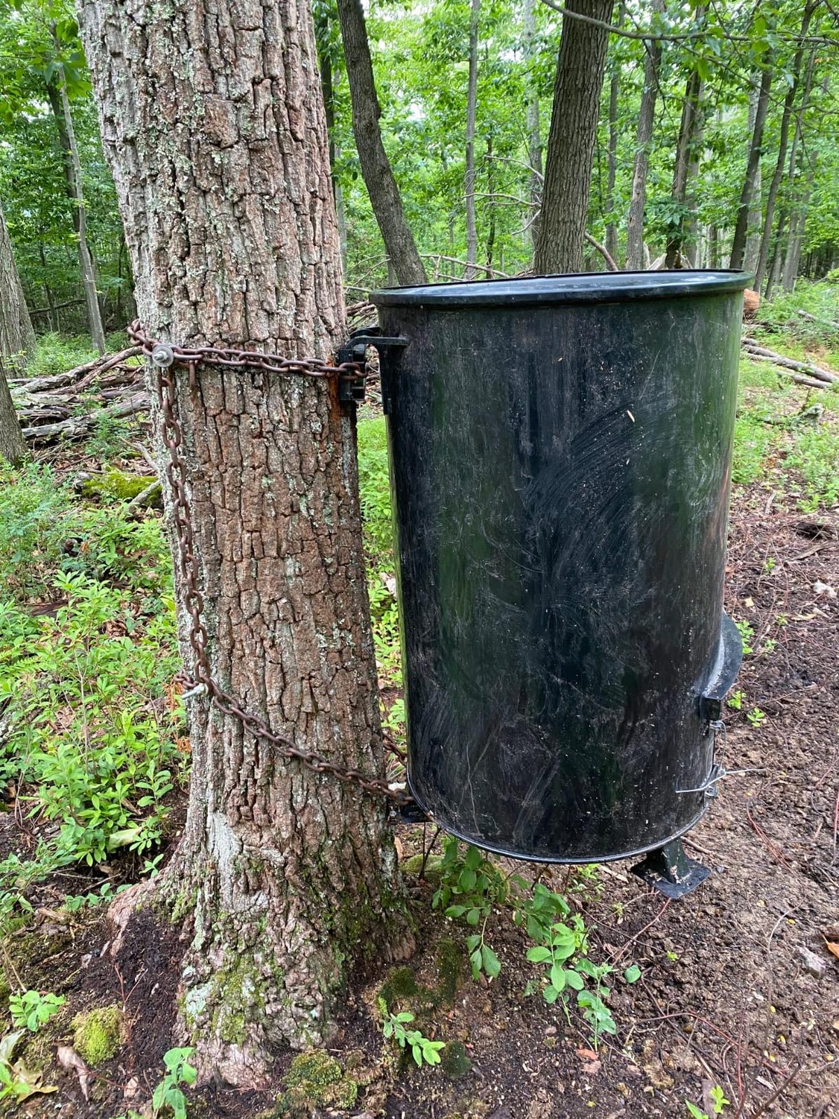 One and Done PRO Game Feeder - Built to Last - Loads 122lbs or 250 lbs (55 Gallon Bear Proof Classic Game Feeder) No Assemble Required customer photo 2