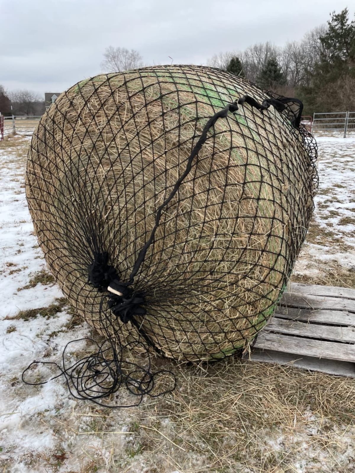KNOTLESS HEAVYDUTY 4-5mm Thick Round Bale Slow Feed Hay Net (4x5) customer photo 1