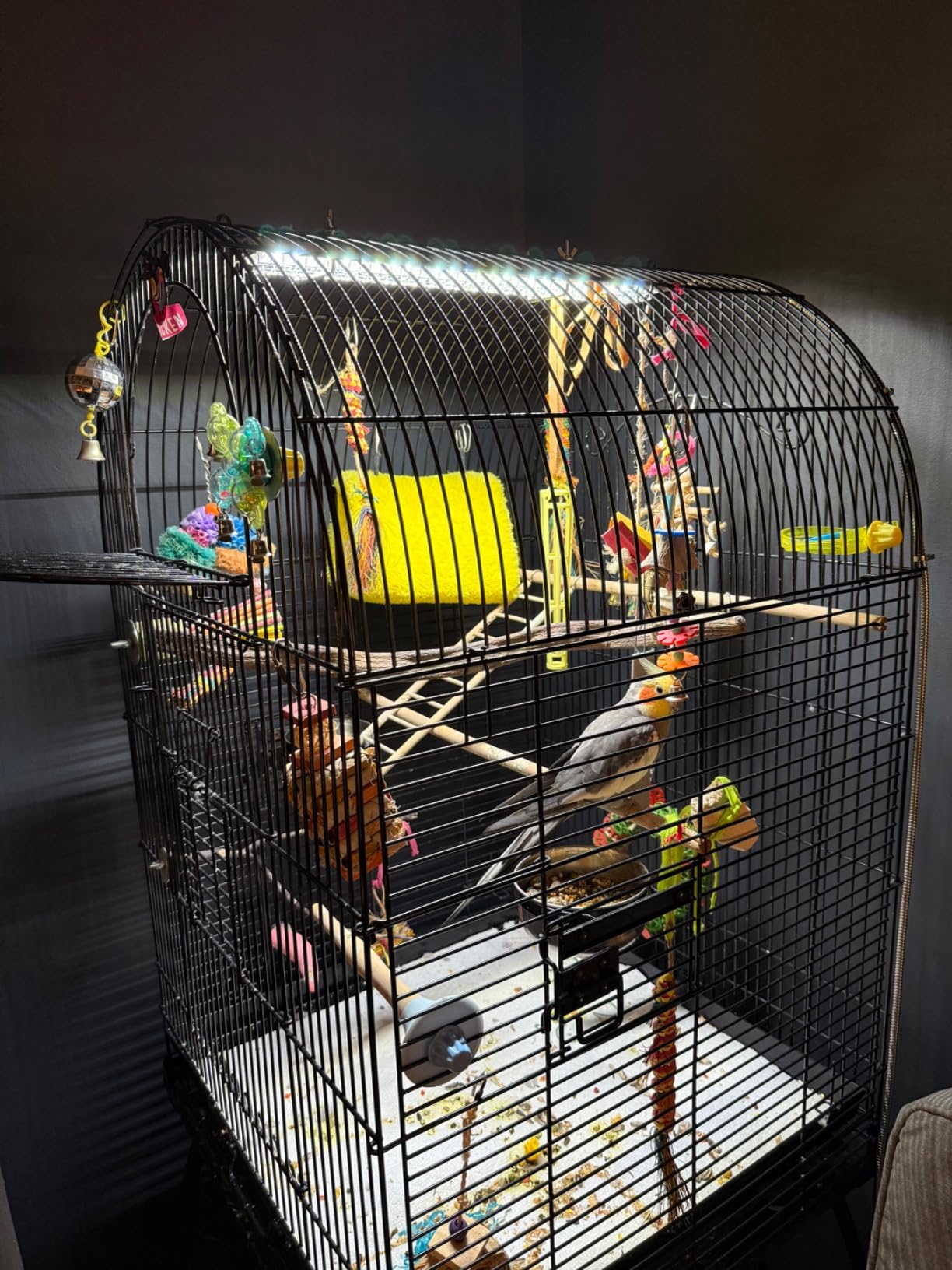 HappyBird Lighting Bird Cage Light with Chew Guard - Full Spectrum LED Pet Light - Simulates Natural Environment - Safe for Hookbill Birds - Easy to Install - (18