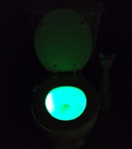 Witshine Toilet Light Motion Sensor, USB-C Rechargeable, Funny Gag Gift | 16-Color LED Inside Toilet Bowl Motion Activated Turns into Bathroom Night, White Elephant & Stocking Stuffer for Men, Kids customer photo 1