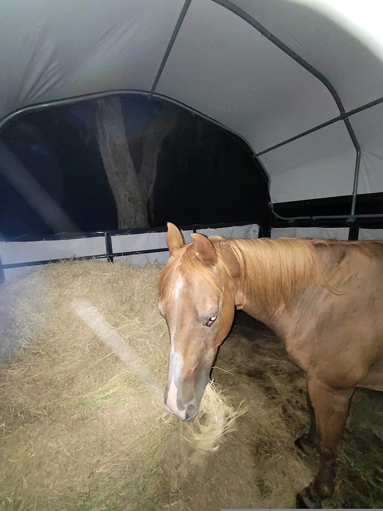 ShelterLogic 12'x12' Equine, Livestock and Agricultural Shelter Enclosure Kit (Corral Panels and Shelter Not Included) customer photo 2
