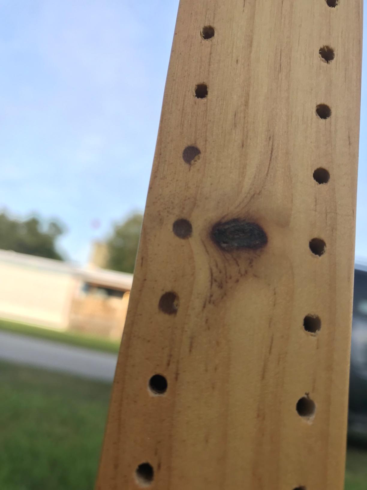 Yard Games Wooden Ladder Toss customer photo 2
