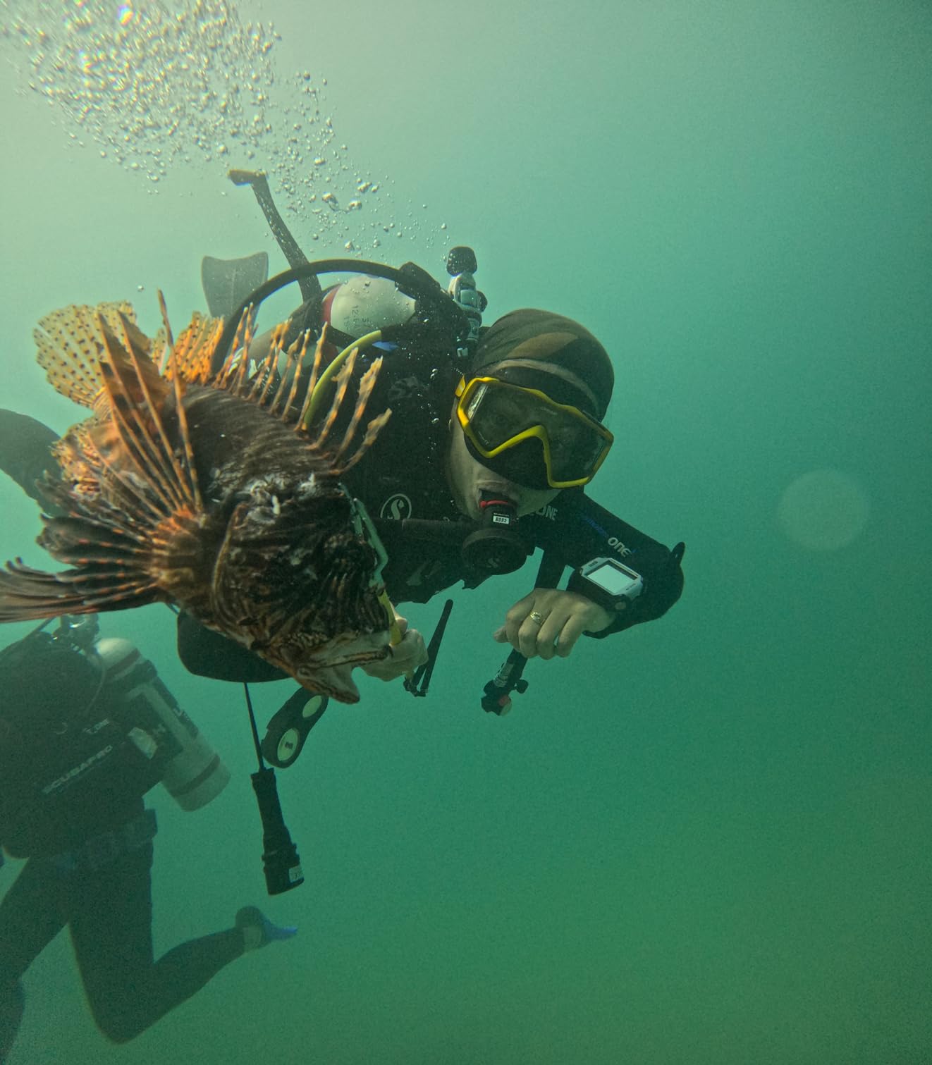 Cressi Perfect View Scuba Diving, Snorkeling Mask in Pure Comfortable Silicone - Liberty Triside: Designed in Italy customer photo 2