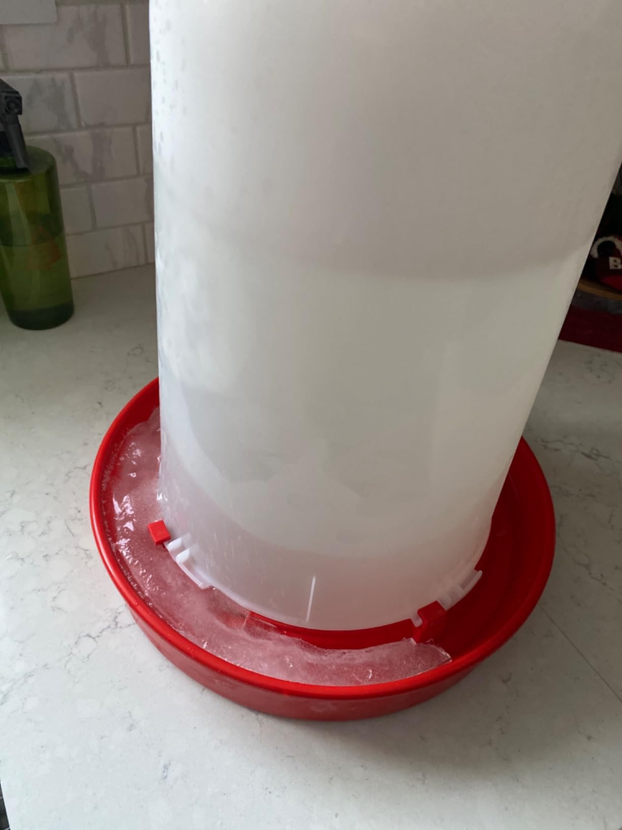 API 3 Gallon Heated Chicken or Bird Waterer with Overheating Protection, Galvanized Steel Handle, and Easy to Fill Funnel Design, White customer photo 1