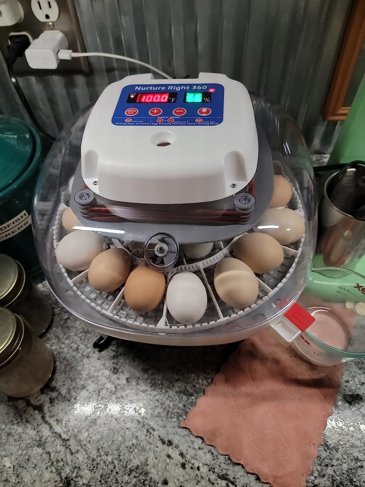Harris Farms Nurture Right Egg Incubator with Auto Turner, Holds 22 Eggs customer photo 1