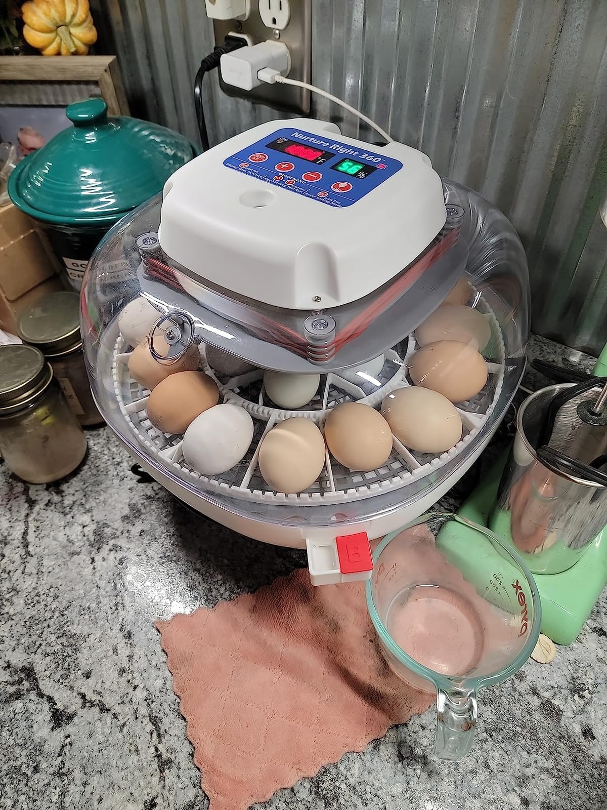 Harris Farms Nurture Right Egg Incubator with Auto Turner, Holds 22 Eggs customer photo 2