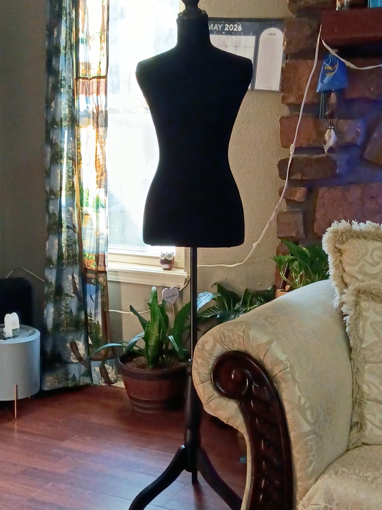 FDW Female Mannequin Torso | Black | with 7