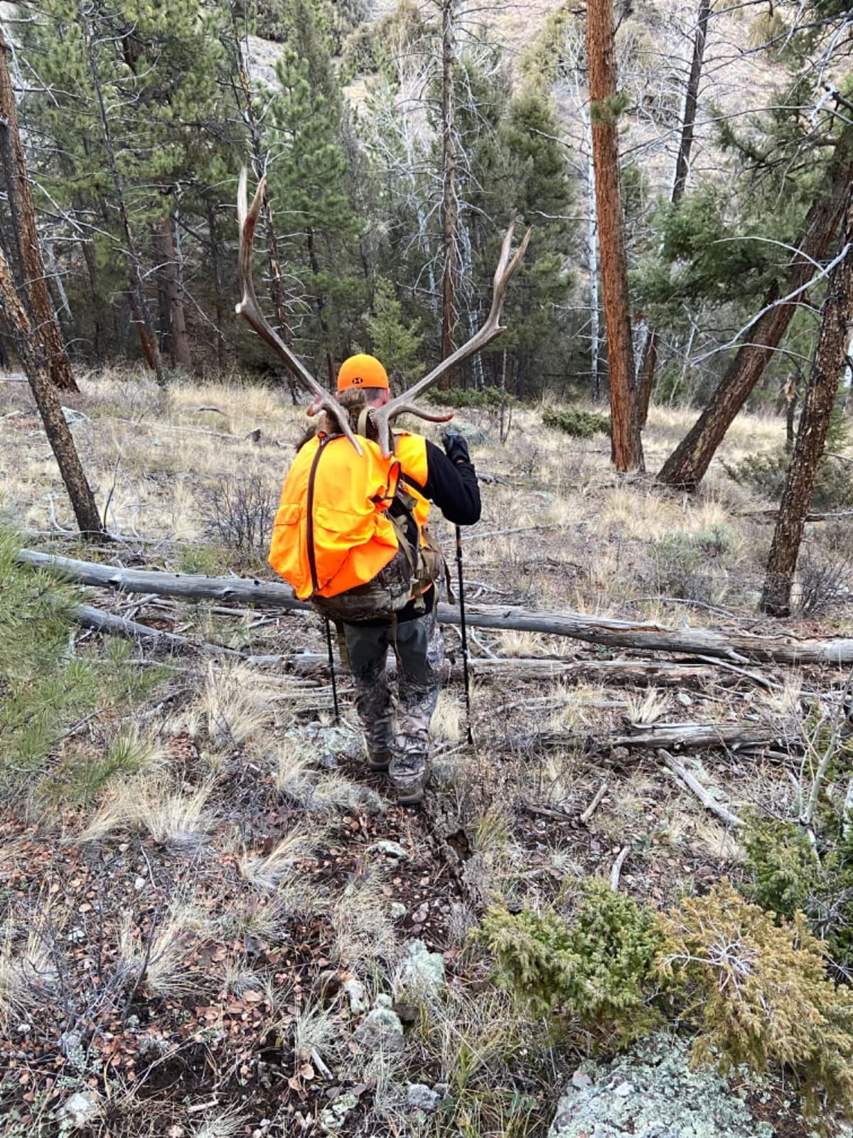 ALPS OutdoorZ Extreme Hybrid X, Coyote Brown customer photo 1