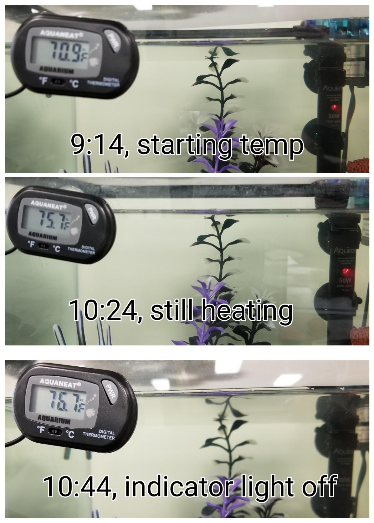 Aqueon Submersible Aquarium Heater, 50 Watts, Up to 20 Gallons | 50 watt aquarium heater for freshwater and saltwater tanks, adjustable 68-88F with auto shut-off customer photo 1