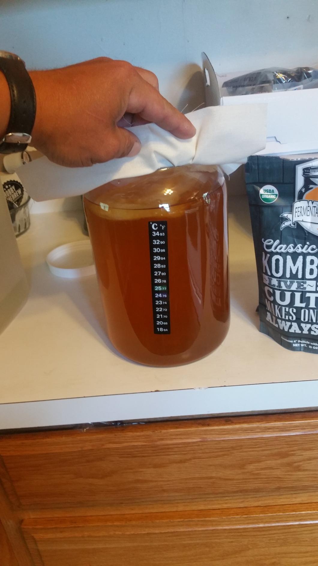 Kombucha Essentials Kit - Includes USDA Organic Kombucha SCOBY + 1-Gallon Glass Fermenting Jar with Breathable Cover + pH Strips + Rubber Band + Adhesive Thermometer customer photo 1