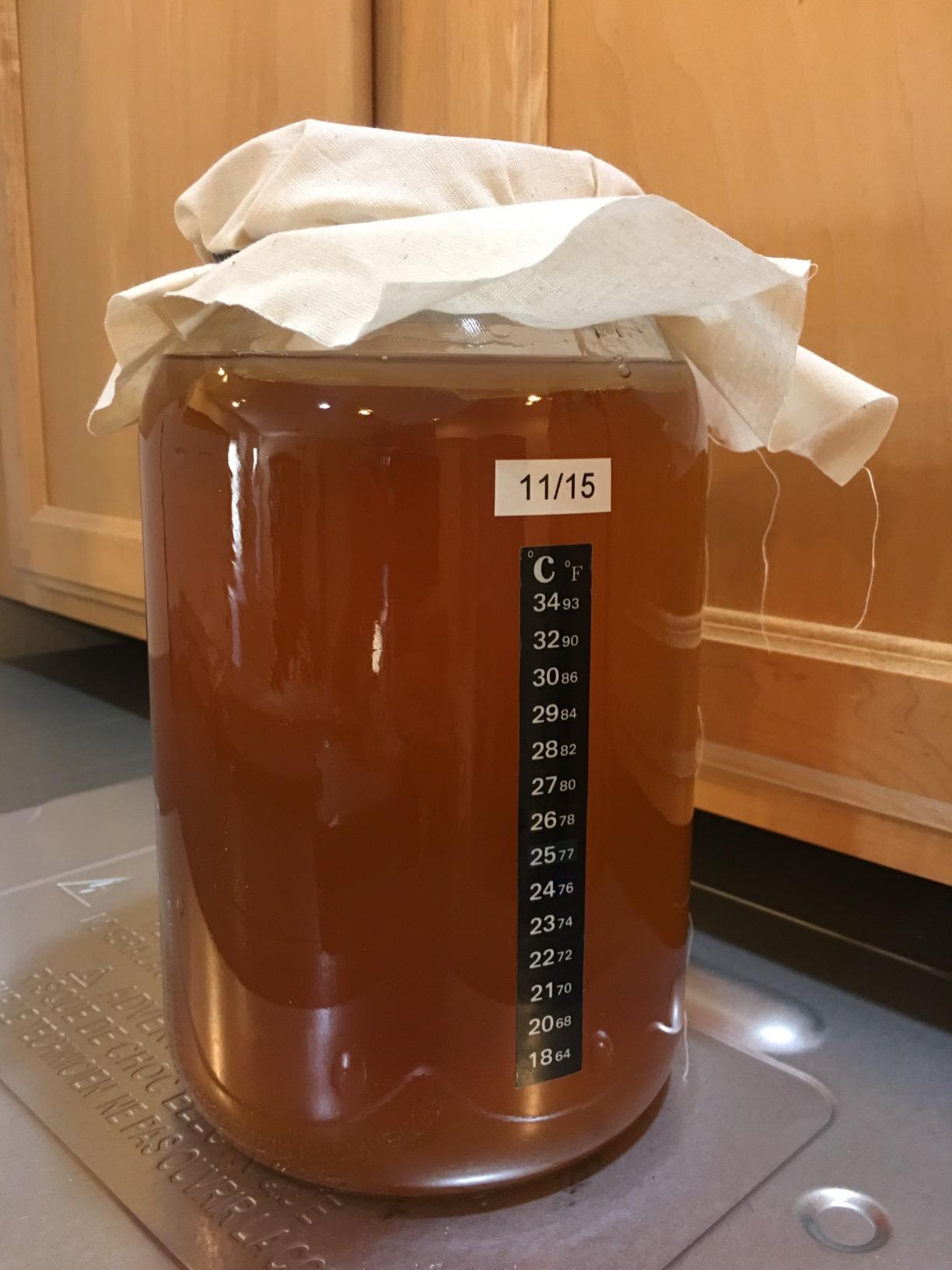 Kombucha Essentials Kit - Includes USDA Organic Kombucha SCOBY + 1-Gallon Glass Fermenting Jar with Breathable Cover + pH Strips + Rubber Band + Adhesive Thermometer customer photo 2