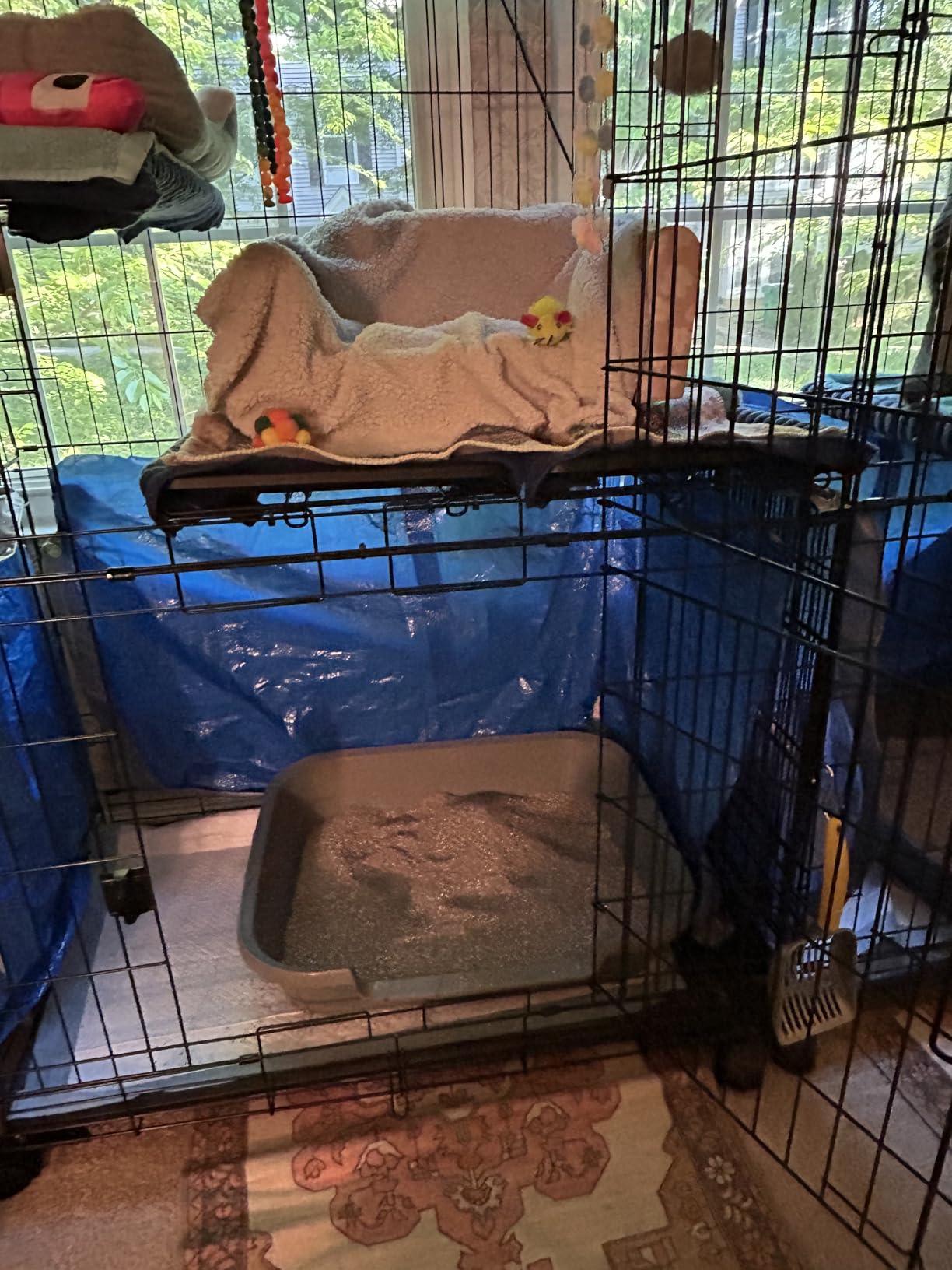 Amazon Basics Large 3-Tier Cat Cage Playpen with Easy to Clean Removable Tray, Front Doors, Portable, Foldable, 35.8