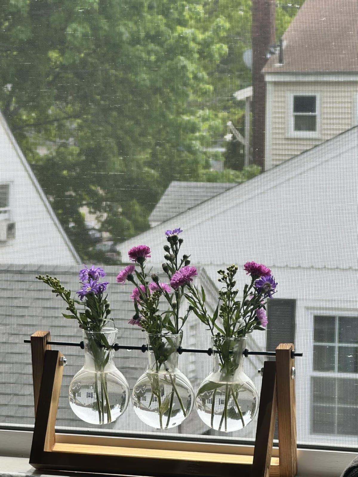 XXXFLOWER Plant Terrarium with Wooden Stand, Air Planter Bulb Glass Vase Metal Swivel Holder Retro Tabletop for Hydroponics Home Garden Office Decoration - 3 Bulb Vase customer photo 1