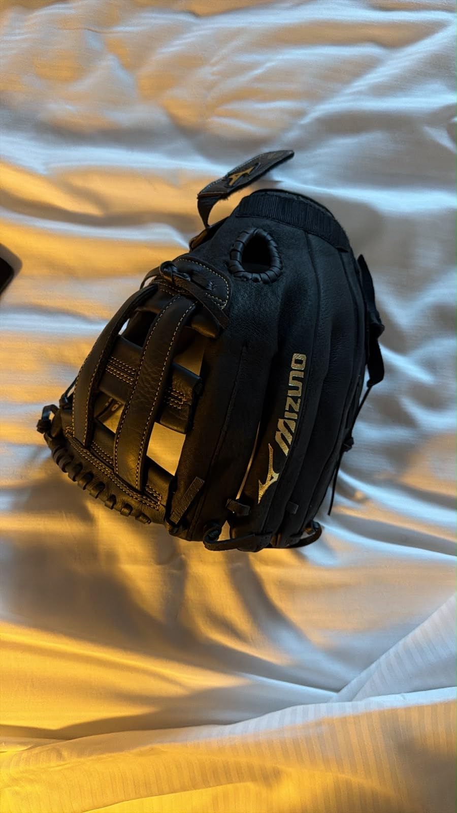 Mizuno Premier Slowpitch Softball Glove Series | Full Grain Leather | Buttersoft Palm Liner | Parashock Palm Pad | PowerLock | Game-Ready customer photo 1