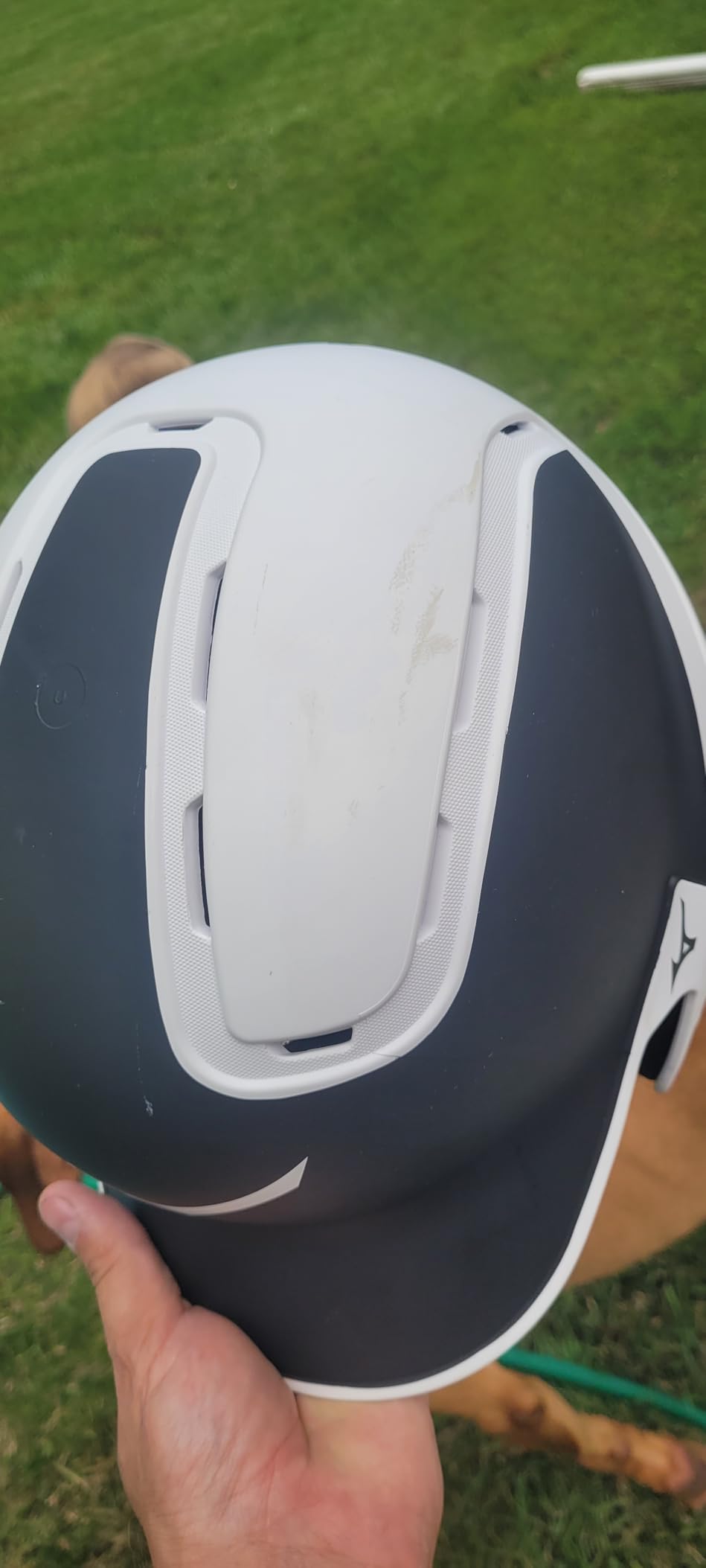 Mizuno Adult B6 Baseball Batting Helmet customer photo 1