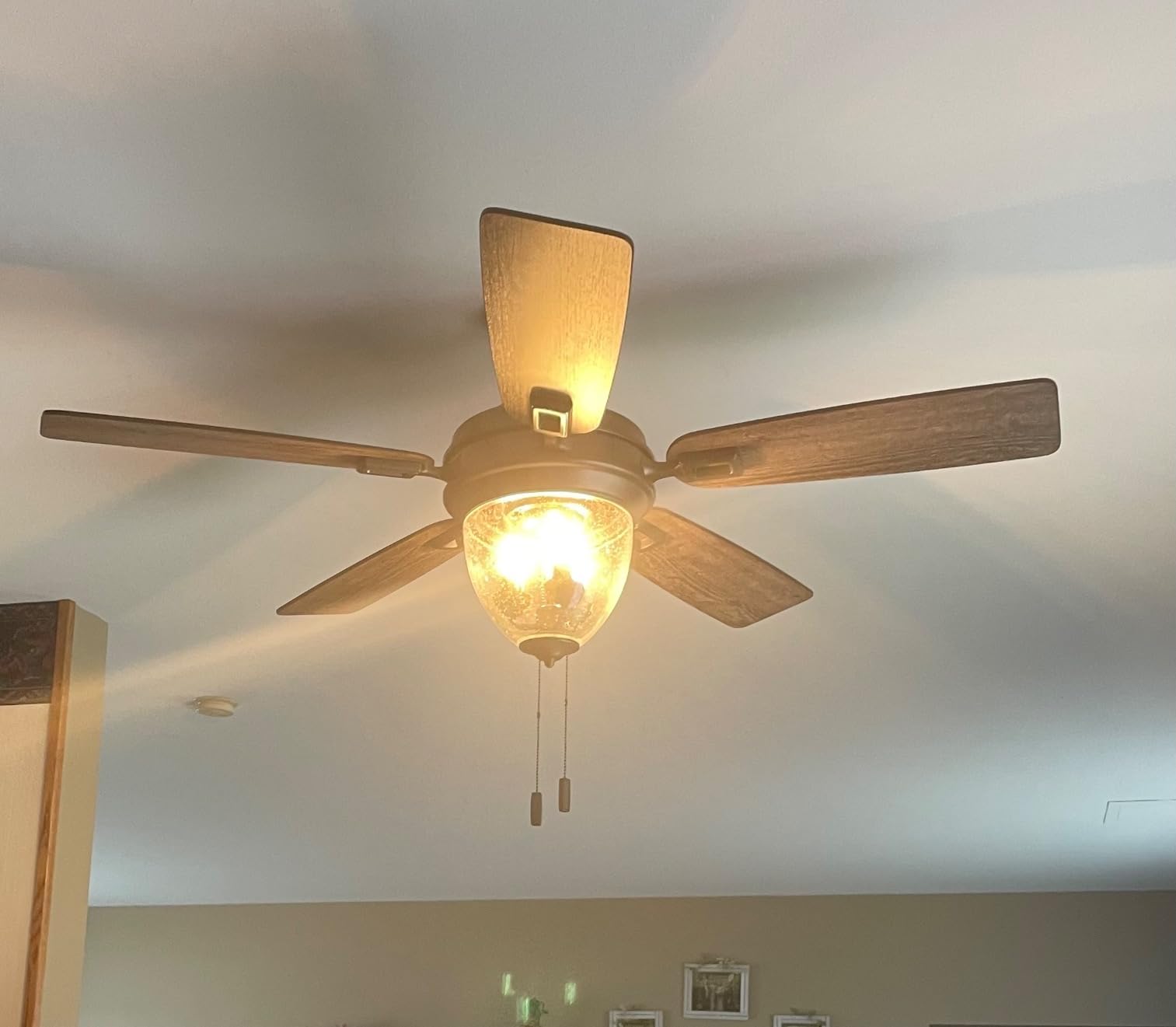Honeywell Ceiling Fans Glencrest, 52 Inch Indoor Outdoor LED Ceiling Fan with Light, Pull Chain, Dual Mounting Options, ETL Damp Rated, Dual Finish Blades, Reversible Motor - 50615-01 customer photo 2