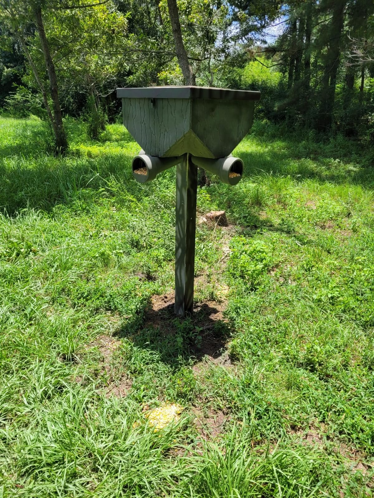 Banks Outdoors Gravity Fed Post Mounted Weatherproof Feed Bank Deer and Game Hunting Feeder with 150 Pound Capacity, Green customer photo 2