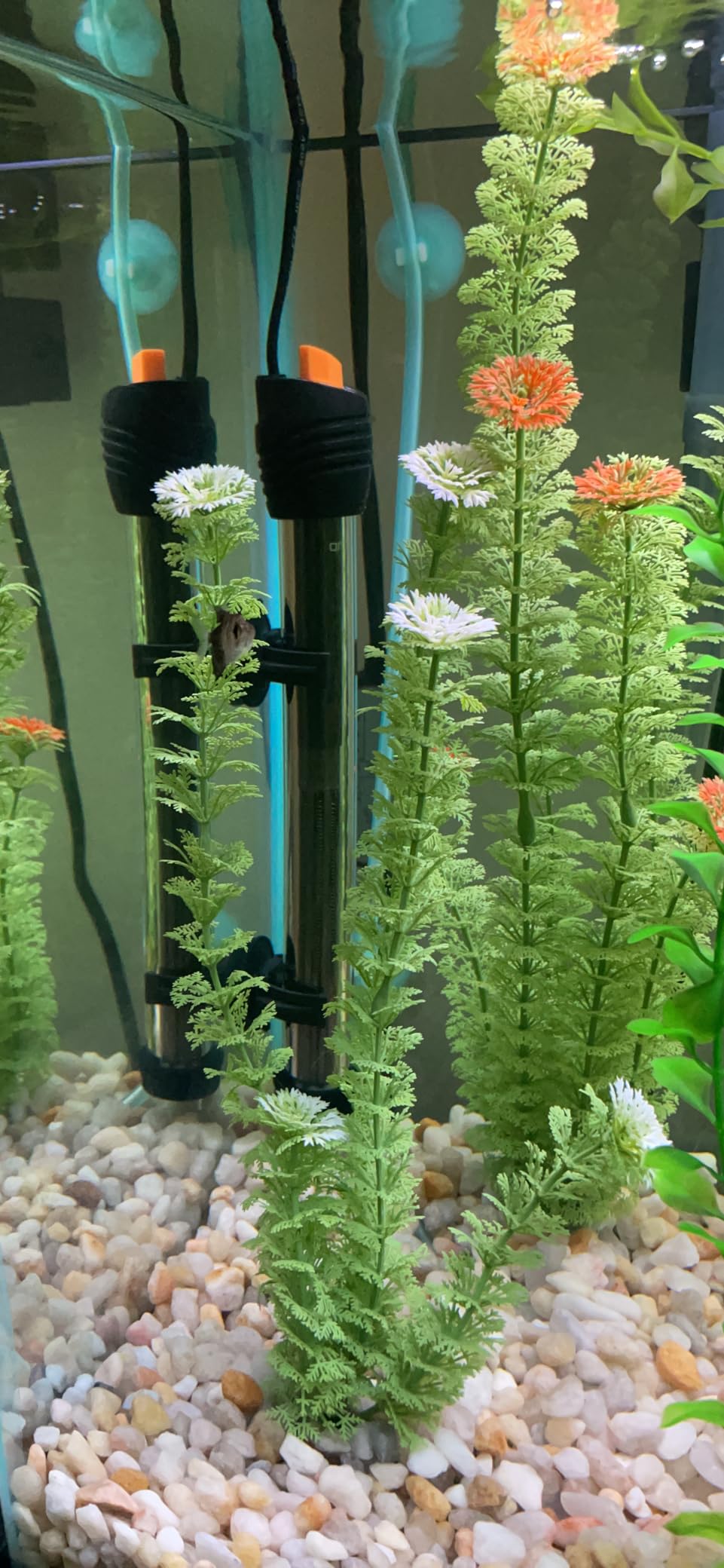 Orlushy Submersible Aquarium Heater, Adjustable Fish Tank Heater with Free Thermometer Suitable for Marine Saltwater and Freshwater customer photo 2