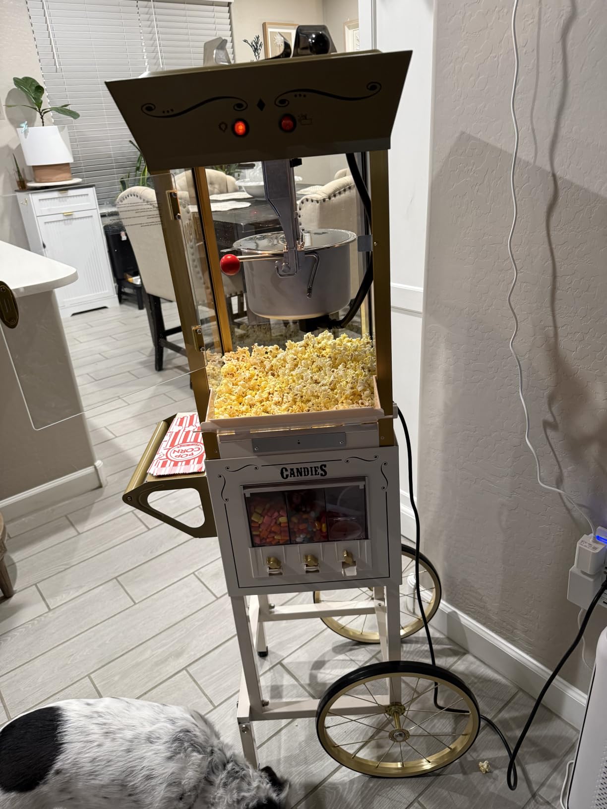 Nostalgia Popcorn Maker Machine - Professional Cart With 8 Oz Kettle Makes Up to 32 Cups - Vintage Popcorn Machine Movie Theater Style - Black customer photo 1