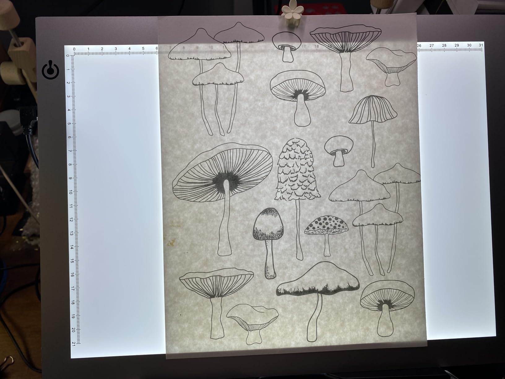 LitEnergy A4 LED Copy Board Light Tracing Box, Adjustable USB Power Artcraft LED Trace Light Pad for Tattoo Transferring, Drawing, Sketching, Animation, Stenciling, Diamond Art Painting Accessories customer photo 1