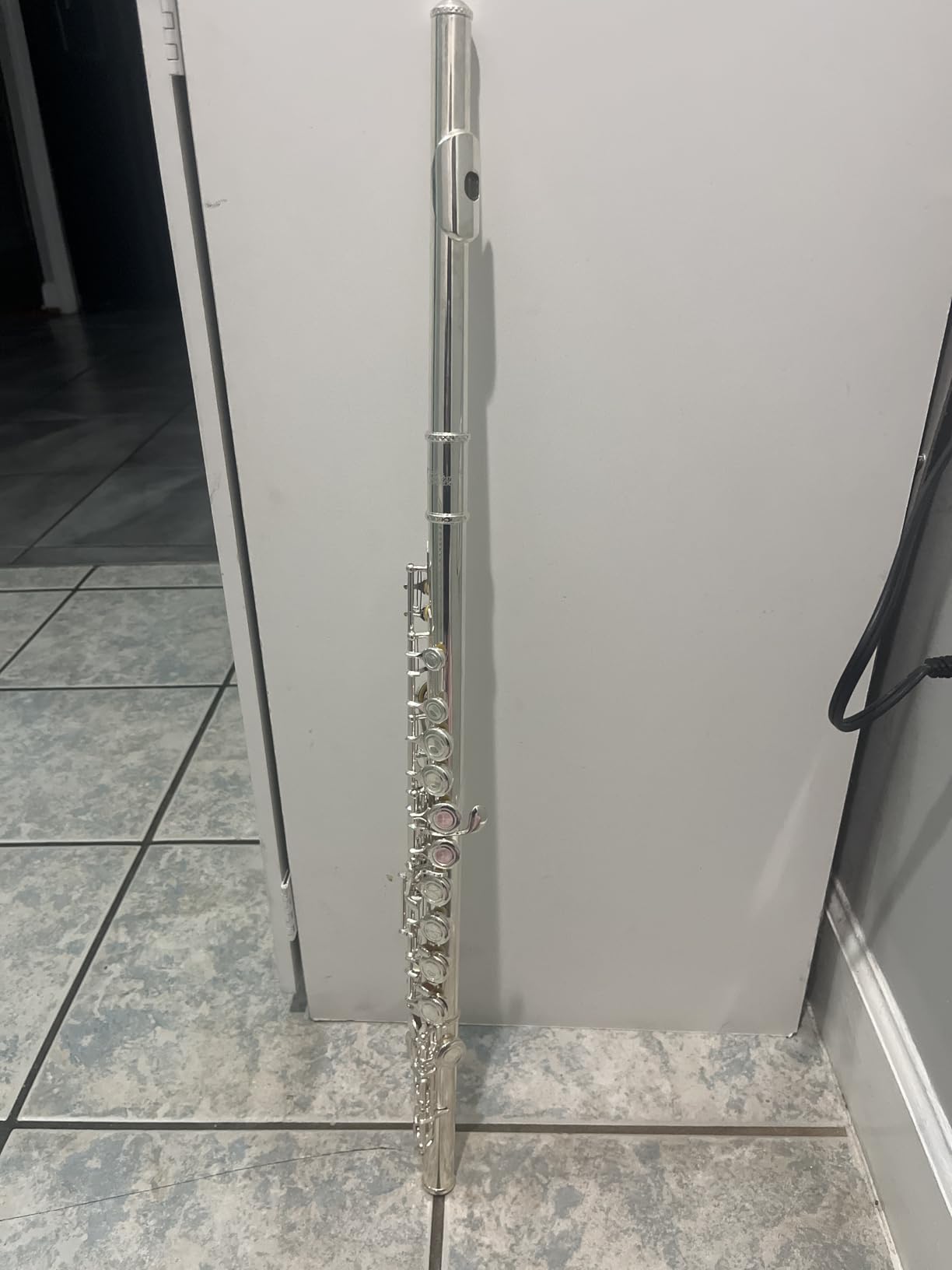 Eastar 16-Key Open Hole C Flute Kids Beginner, Silver Full Kit, EFL-2 customer photo 2