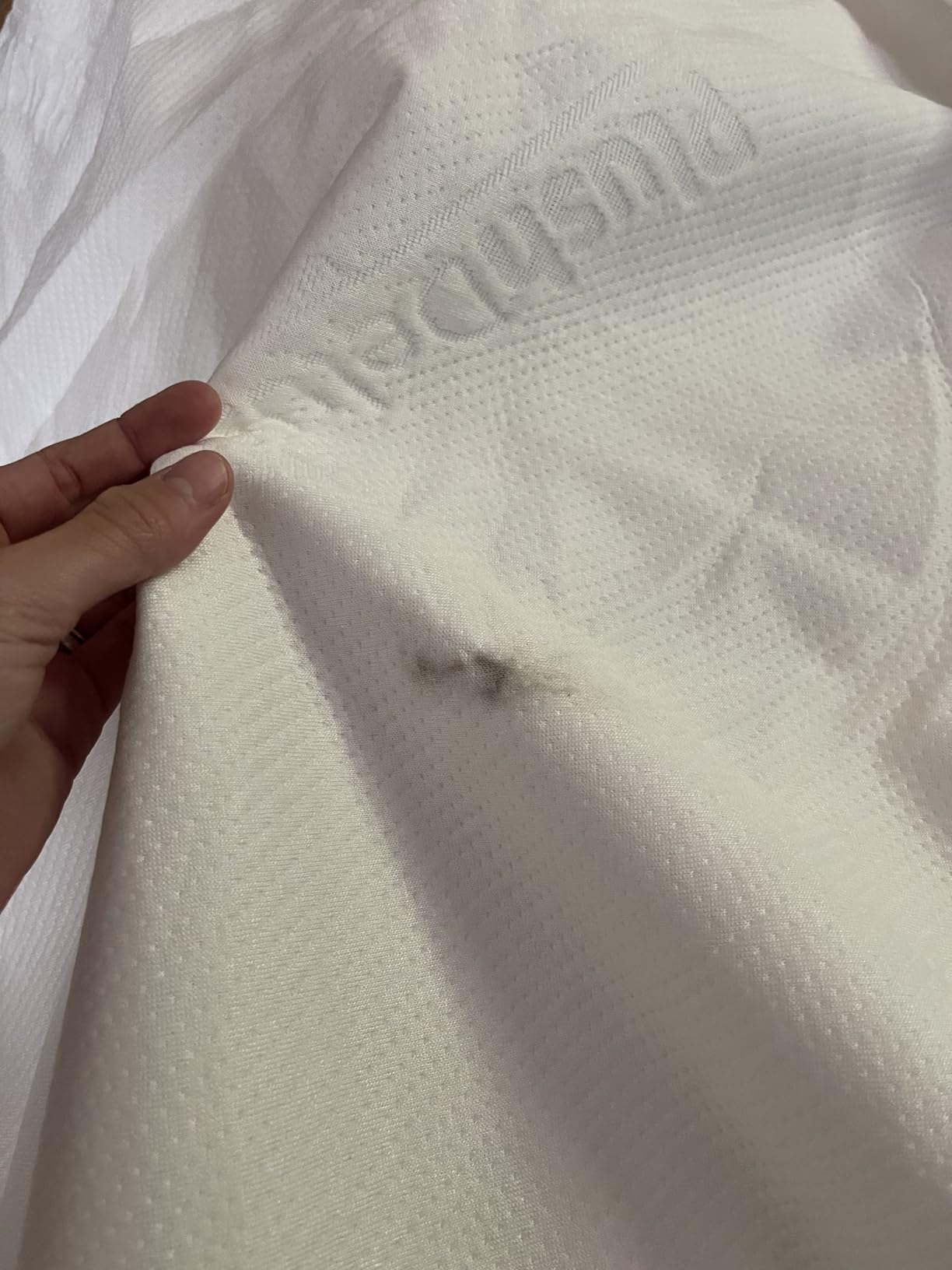 PlushDeluxe Bamboo Waterproof Mattress Protector, Queen Size, Ultra Soft | Breathable, Noiseless, Hypoallergenic, Washable, 60x80