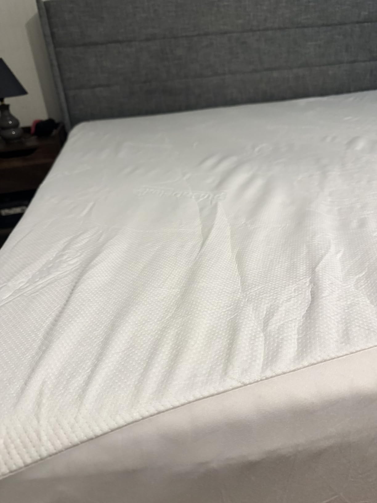 PlushDeluxe Bamboo Waterproof Mattress Protector, Queen Size, Ultra Soft | Breathable, Noiseless, Hypoallergenic, Washable, 60x80