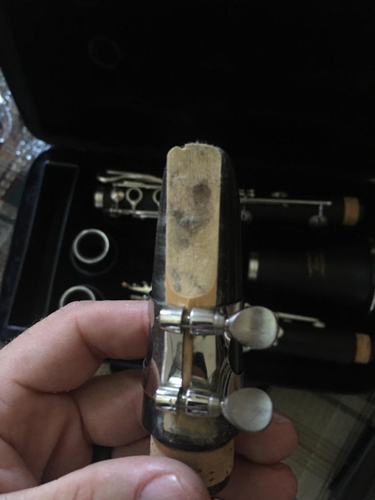 Eastar B Flat Ebonite Clarinet Beginner, Nickel, Hard Case Kit, ECL-300 customer photo 1