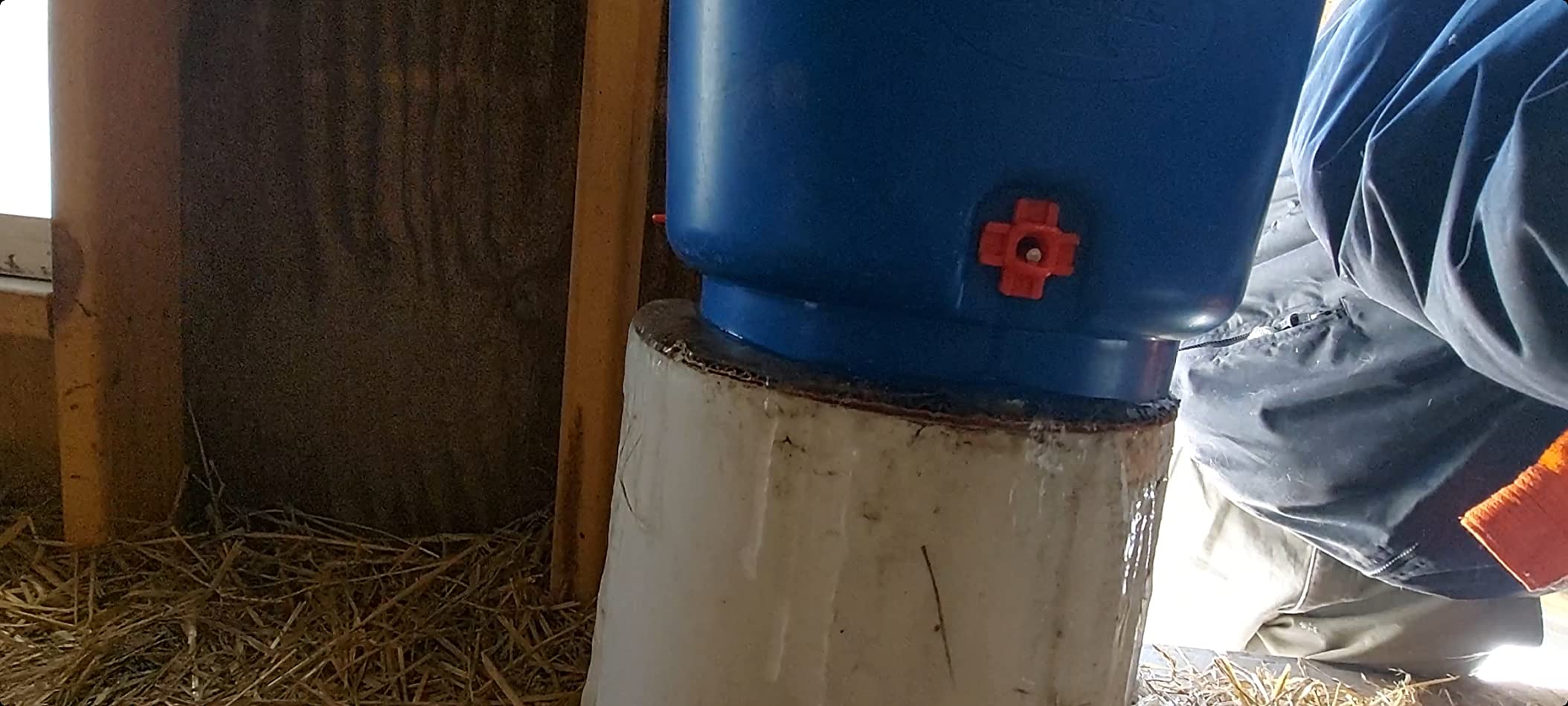 Premier 1 All-Season Heated Poultry Waterer for Chickens & Ducks - 3 Gallon | 100W thermostat keeps water unfrozen to -20F. Quick-fill cap, 3 recessed nipples, 16 ft detachable cord. Up to 35 birds. customer photo 2